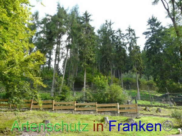 Bild zum Eintrag (98700-160)