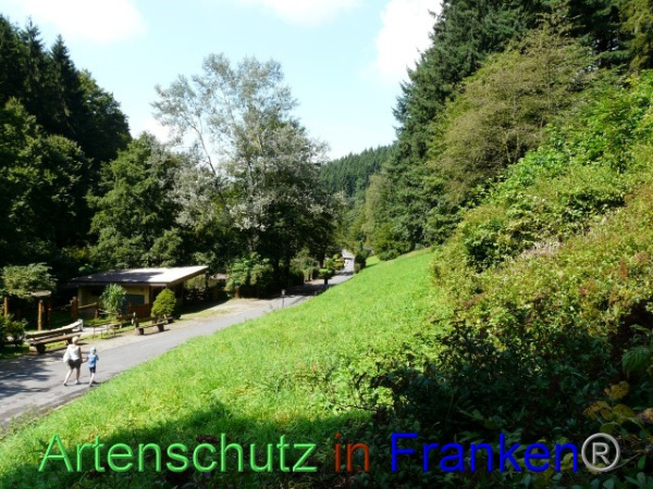 Bild zum Eintrag (98703-160)