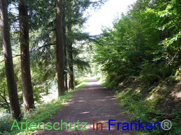 Bild zum Eintrag (98705-160)