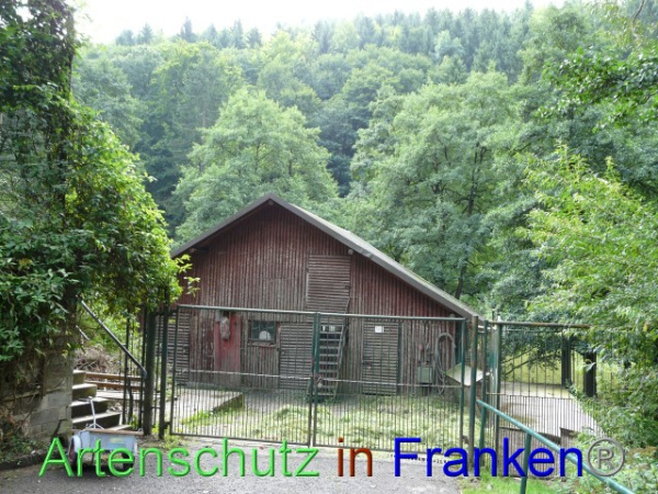 Bild zum Eintrag (98708-160)