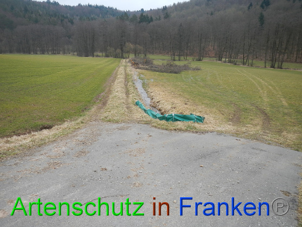 Bild zum Eintrag (98867-160)