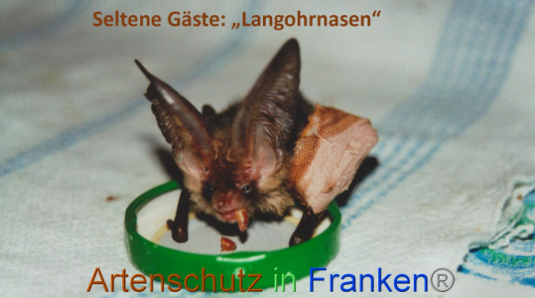 Copyright AiF Jana Stepanek Bild zum Eintrag (98934-160)