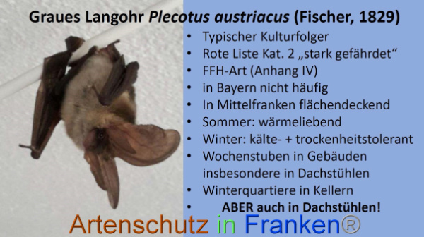 Bild zum Eintrag (98936-160)