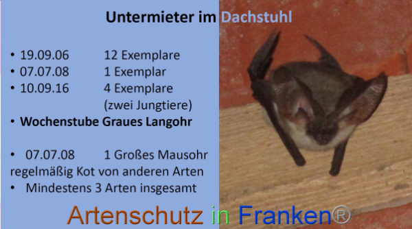 Bild zum Eintrag (98937-160)