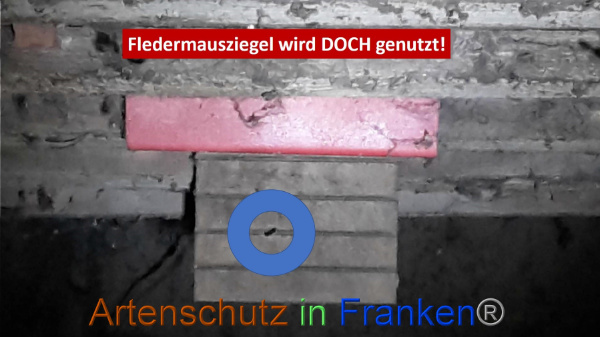 Copyright AiF Jana Stepanek Bild zum Eintrag (98943-160)