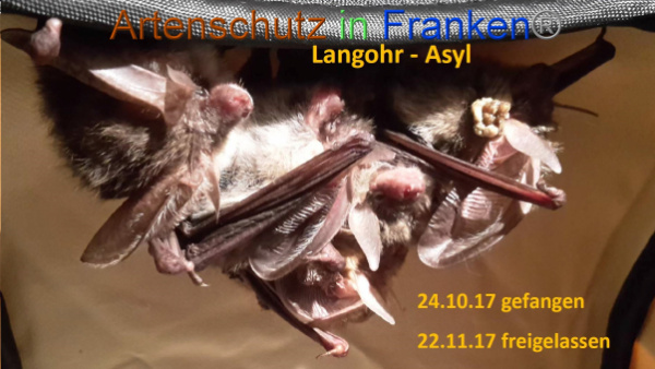 Copyright AiF Jana Stepanek Bild zum Eintrag (98947-160)