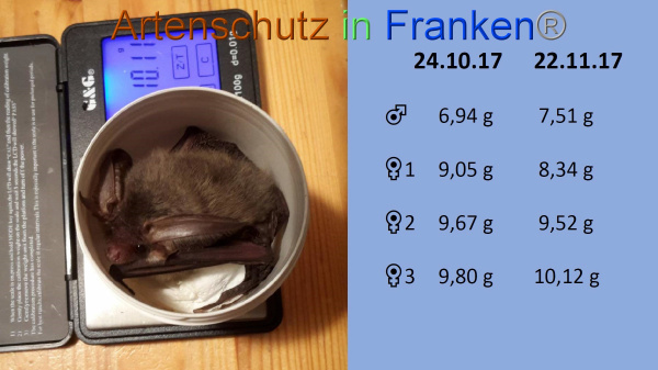 Copyright AiF Jana Stepanek Bild zum Eintrag (98950-160)