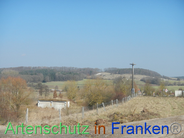 Bild zum Eintrag (98960-160)