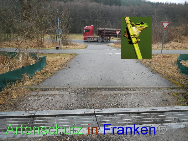 Bild zum Eintrag (99033-160)