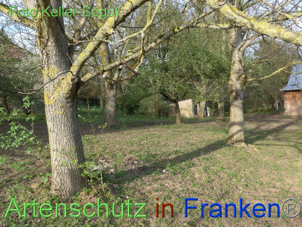 Bild zum Eintrag (99279-160)