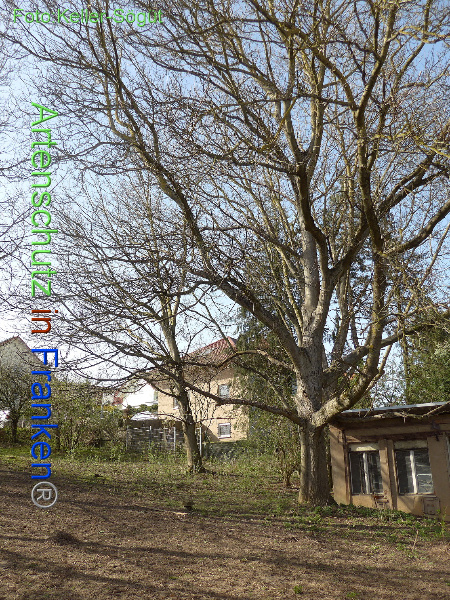 Bild zum Eintrag (99280-160)