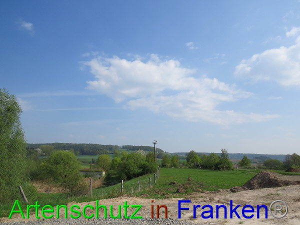 Bild zum Eintrag (99330-160)