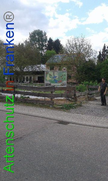 Bild zum Eintrag (99384-160)