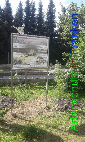 Bild zum Eintrag (99396-160)