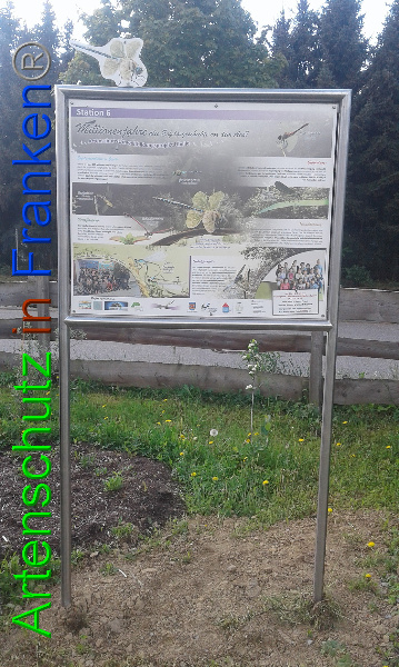 Bild zum Eintrag (99397-160)