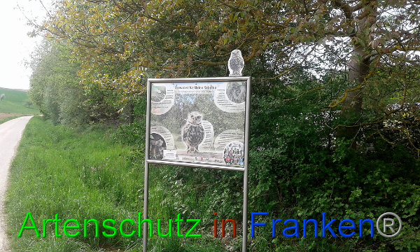 Bild zum Eintrag (99445-160)