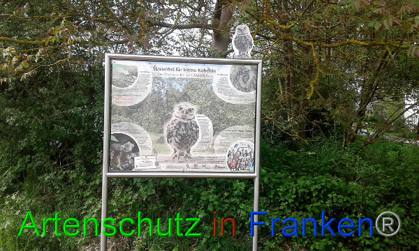 Bild zum Eintrag (99446-160)