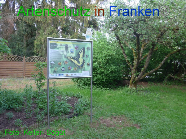 Bild zum Eintrag (99501-160)