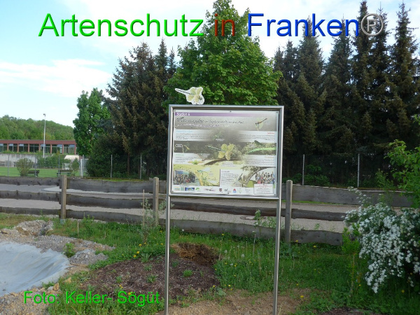 Bild zum Eintrag (99508-160)