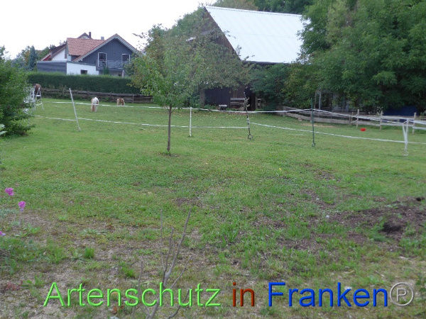 Copyright AiF Keller-Sögüt Bild zum Eintrag (99550-160)