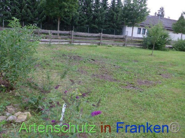 Copyright AiF Keller-Sögüt Bild zum Eintrag (99551-160)