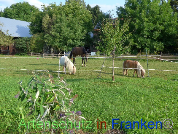 Copyright AiF Keller-Sögüt Bild zum Eintrag (99552-160)