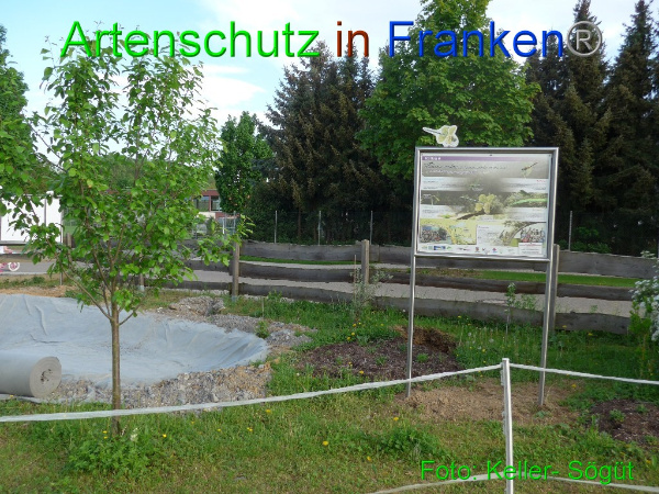 Copyright AiF Keller-Sögüt Bild zum Eintrag (99554-160)