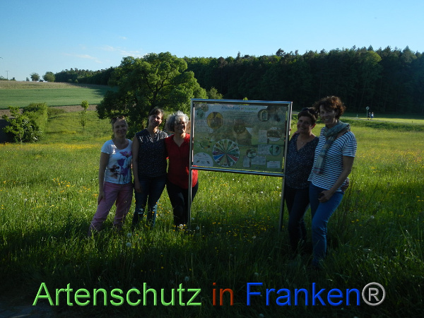 Bild zum Eintrag (99605-160)