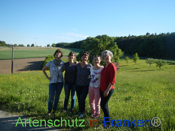 Bild zum Eintrag (99607-160)