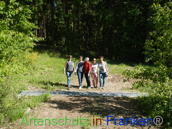 Bild zum Eintrag (99608-160)