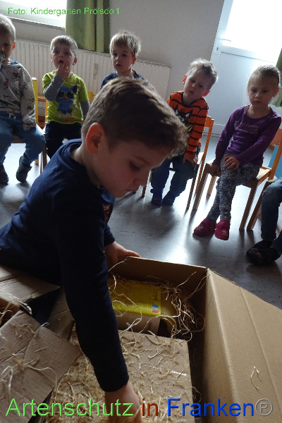 Copyright AiF Kindergarten Prölsdorf Bild zum Eintrag (99624-160)