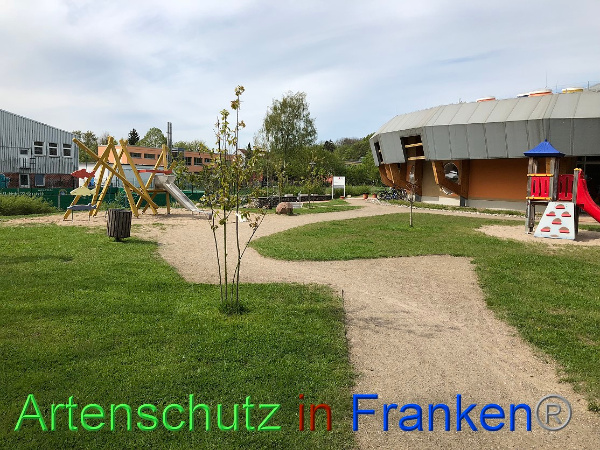 Copyright AiF - Kita Wildblume Bild zum Eintrag (99649-160)