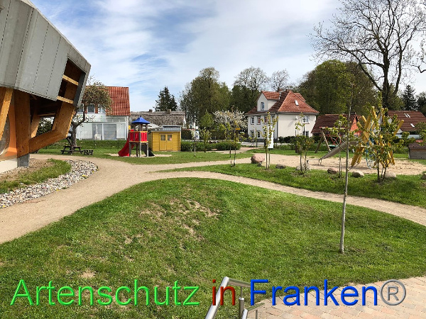 Copyright AiF - Kita Wildblume Bild zum Eintrag (99653-160)