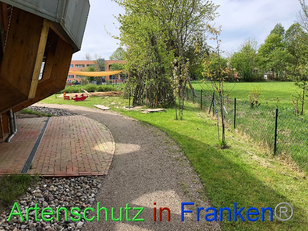 Copyright AiF - Kita Wildblume Bild zum Eintrag (99654-160)