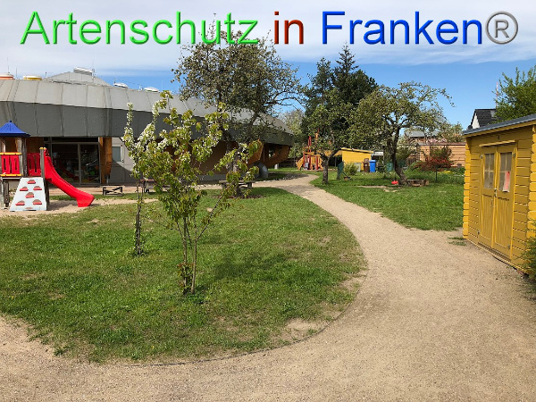 Copyright AiF - Kita Wildblume Bild zum Eintrag (99655-160)