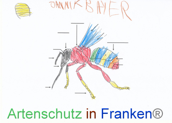 Bild zum Eintrag (99823-160)
