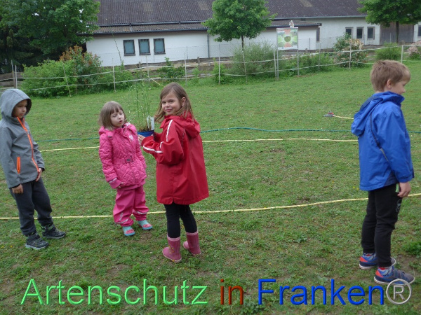 Bild zum Eintrag (99862-160)