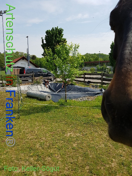 Bild zum Eintrag (99901-160)