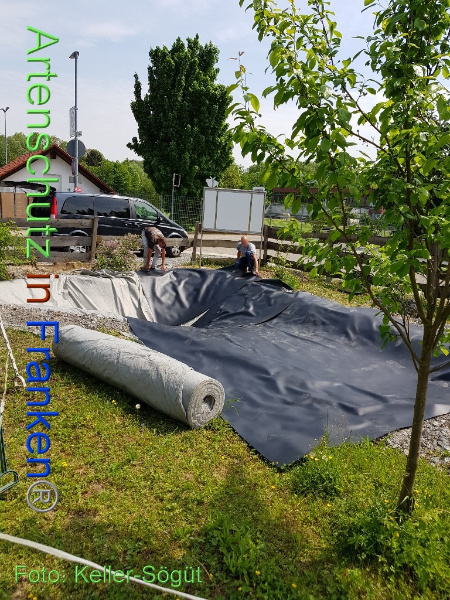 Bild zum Eintrag (99903-160)