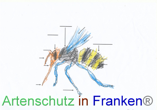Bild zum Eintrag (99920-160)