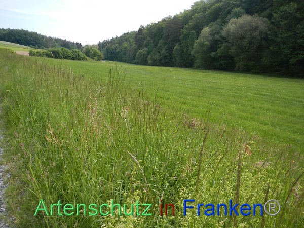 Bild zum Eintrag (99956-160)