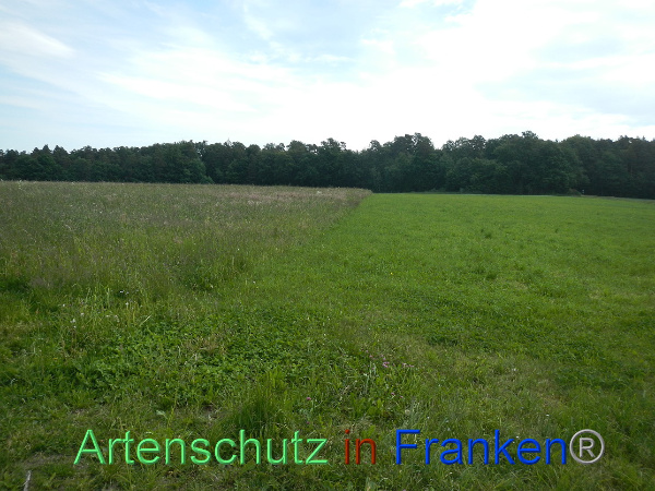 Bild zum Eintrag (99963-160)