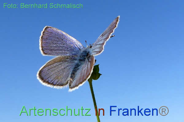 Copyright AiF / Bernhard Schmalisch Bild zum Eintrag (100024-160)