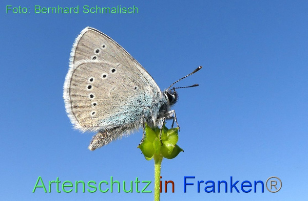 Copyright AiF / Bernhard Schmalisch Bild zum Eintrag (100025-160)