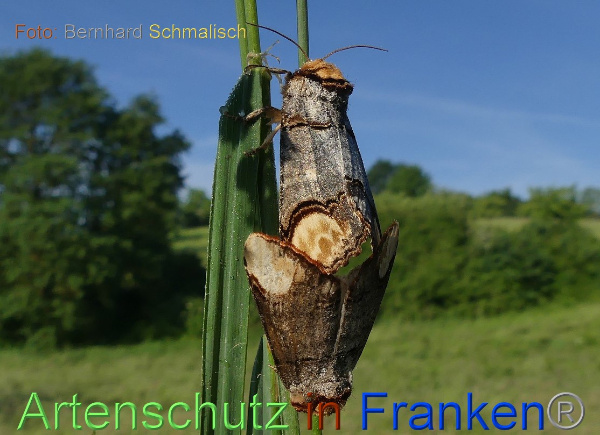 Copyright AiF / Bernhard Schmalisch Bild zum Eintrag (100125-160)