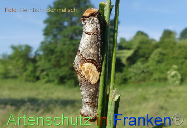 Copyright AiF / Bernhard Schmalisch Bild zum Eintrag (100126-160)