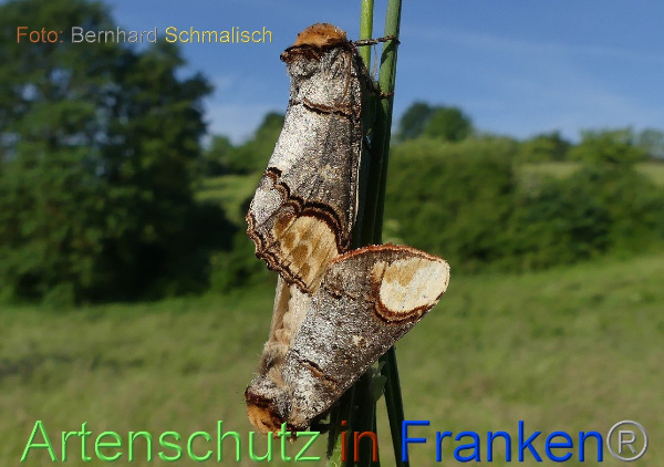 Copyright AiF / Bernhard Schmalisch Bild zum Eintrag (100127-160)