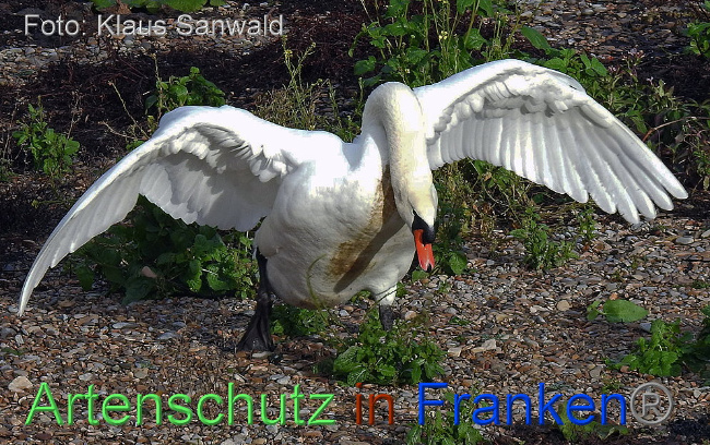 Copyright AiF Klaus Sanwald Bild zum Eintrag (1001651-160)