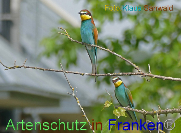 Copyright AiF - Klaus Sanwald Bild zum Eintrag (100209-160)