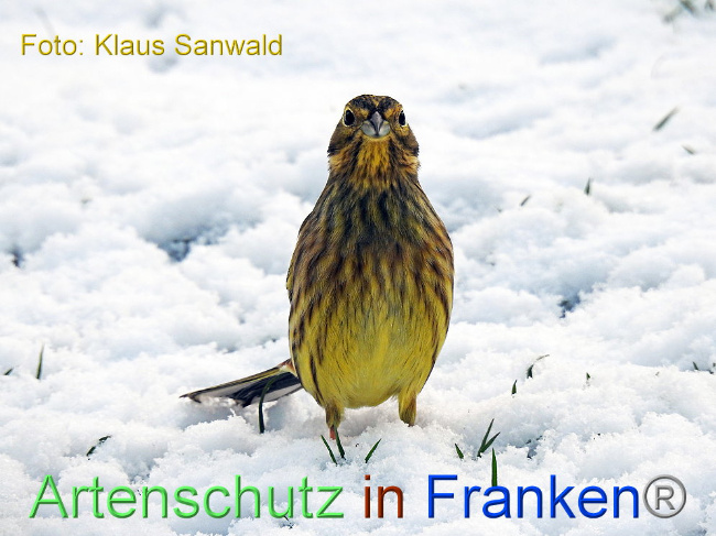 Bild zum Eintrag (1002473-160)
